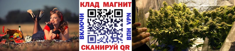 Купить закладку Лебедянь Кетамин СК МАРИХУАНА Мефедрон Cocaine АМФ