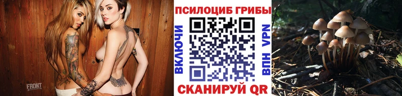 Галлюциногенные грибы Psilocybe  Лебедянь 